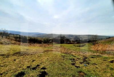 Teren de 4300 mp, în Sopor - 5