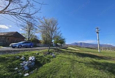 Vanzare teren 4606 mp - Sat Balta - Runcu - la aproximativ 20 km de Targu Jiu - 7