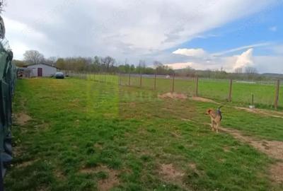 Teren de 1310 mp, în Urleta - 3