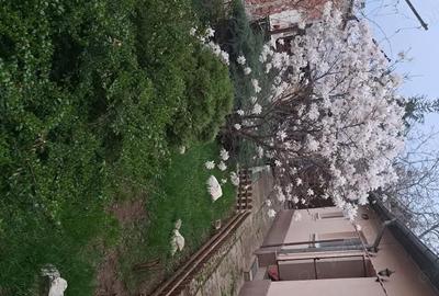 Casă cu 5 camere cu Teren 353 Mp în Republicii - 4