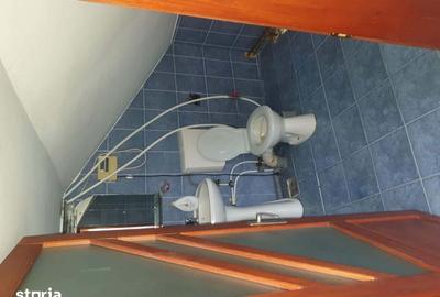 Casă cu Teren 1800 Mp în Vadu Moldovei - 16