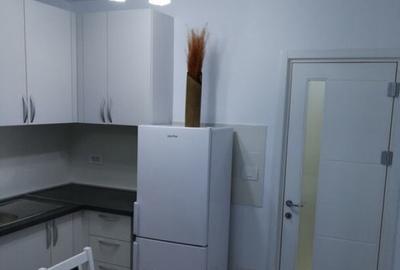 Garsoniera zona Calea Calarasilor - 2