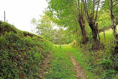 Teren intravilan de 1050 mp, în Bulz - 2