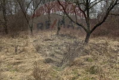 Teren agricol extravilan de 2900 mp, în Independenței - 13