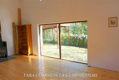 CABANA DE LA MUNTE, UN LOC FERMECATOR - 7