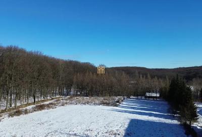 Teren în Dragomirna - 11