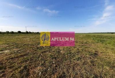 Teren construcție casă - 1 Decembrie - Zona Metropolitană București Teren construcție casă - 1 Decembrie - Zona Metropolitană București - 30