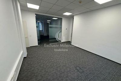 Birouri Cismigiu -Stirbei Voda - 6