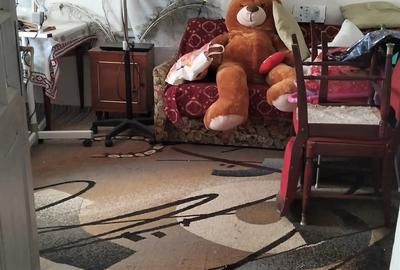 Casa batraneasca 20.000 euro - 3