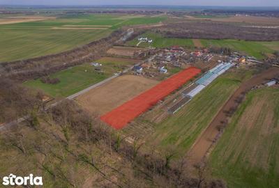 Teren de 3083 mp, în Gruiu - 4