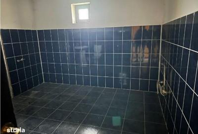 Casă cu 4 camere în Letea Veche - 1