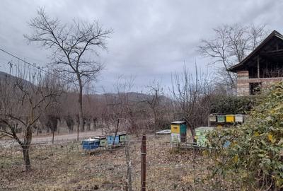 Casă cu 5 camere în Corbșori - 10