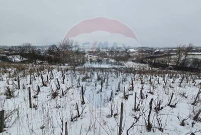 Teren de 6850 mp, în Izvor - 1