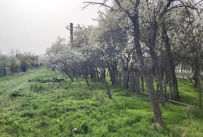 Teren în Văleni - 7