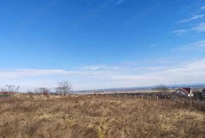 Teren de 1494 mp, în Fântânele (Hemeiuș) - 2