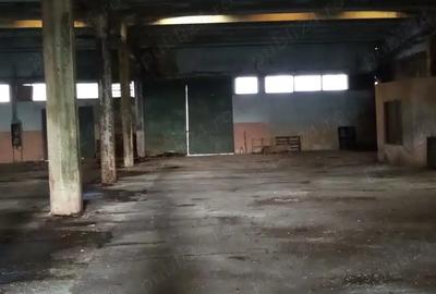 Spațiu comercial, de 6,800 mp, în Lipova - 2