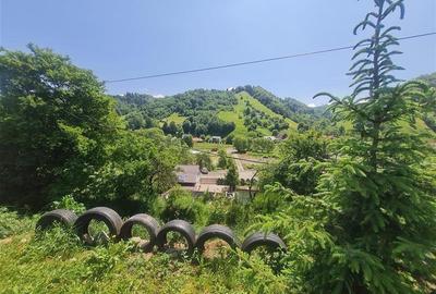 FILM!View superb catre munti,teren pretabil constructie Hotel,4.400 mp, Moieciu - 30