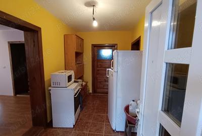Casă cu 2 camere cu Teren 4442 Mp în Bârsău - 4