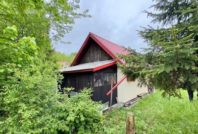 Vila vacanta Cheia - Prahova, pretabila pentru investitie - 10