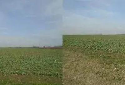 Teren cota parte 3/48 Tudor Vladimirescu R2548611 - 1