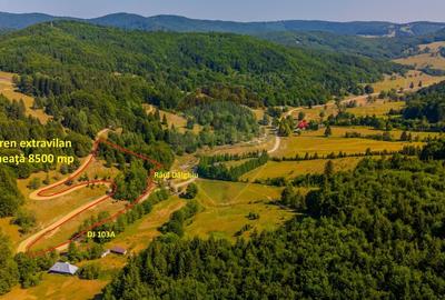Teren 8500 mp, Valea Dalghiului - Dalghiu - vedere catre Ciucas - 12