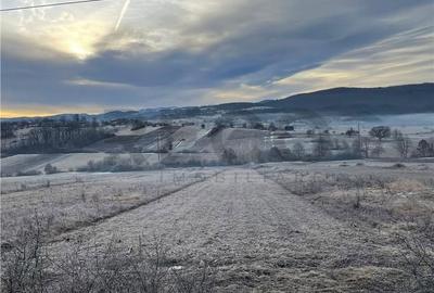 Teren de 2500 mp, în Șuncuiuș - 3