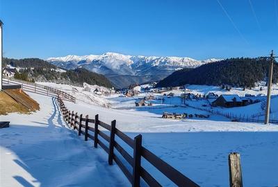 Teren Intravilan Fundata 1421Mp - 4