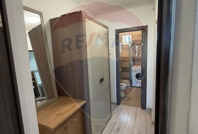 Apartament cu 2 camere, mobilat în Bordei - 9