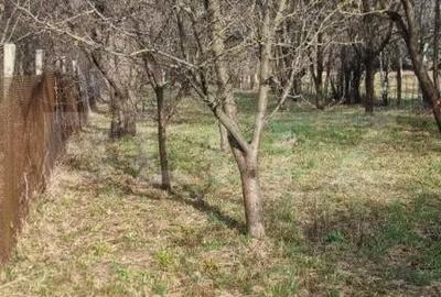 Casă cu 4 camere cu Teren 2800 Mp în Central - 4