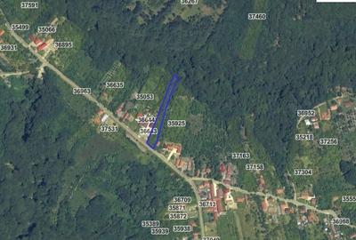 Teren 1712mp de vanzare in Horezu, Turcinesti, langa Pensiunea Arianna - 2