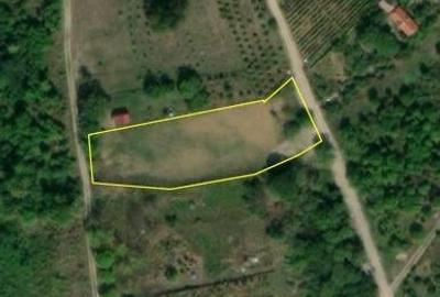 Teren Construcții intravilan de 2452 mp, în Săldăbagiu de Munte