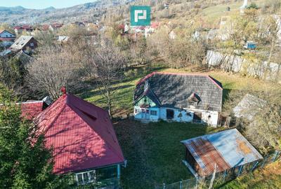 Casa de lemn, cu teren in Bor?a - 5