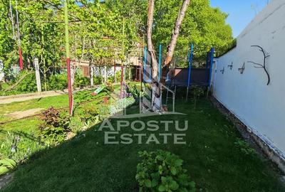 Casă individuală cu 6 camere cu Canalizare în Lipovei - 17
