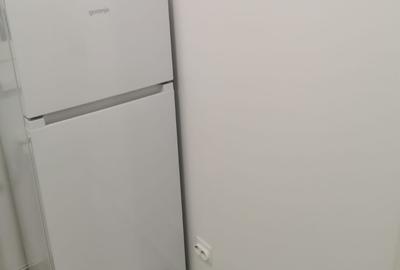 Theodor Pallady cu contract - 7