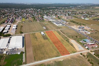 Teren Intravilan - Branesti - Investitie Pentru Hale Industriale - Vanzare - 10