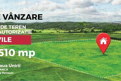 Corbeanca, autorizatie pentru 11 vile exclusiviste, Padurea Petresti - 4