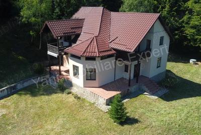 Casă cu 5 camere cu Teren 6842 Mp în Brădetu - 2