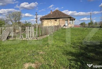 Casă cu 3 camere cu Teren 4600 Mp în Central