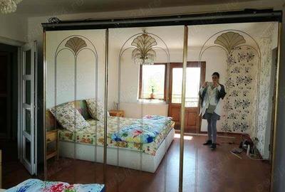 Vand sau schimb casa cerneti - 2