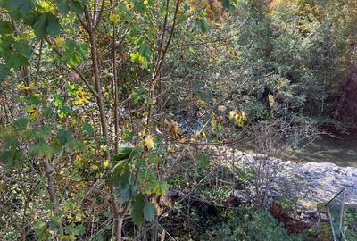 Casă pe Transfăgărășan, 480 mp construiți, la gri, 900 mp teren, ideal pensiune - 14