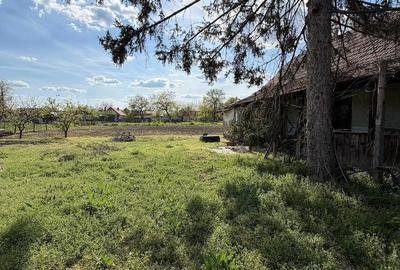 Casă cu Teren 1400 Mp în Dorobanți - 4