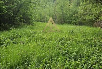 Teren de 2842 mp, în Vest - 4