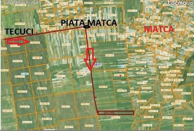 Teren de 10000 mp, în Matca - 2