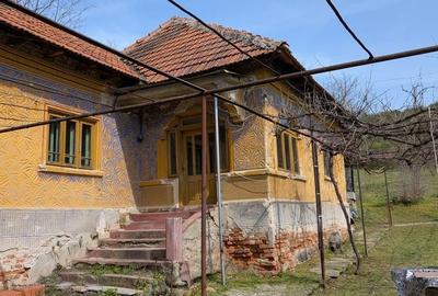 Spațiu comercial, în Milești - 2