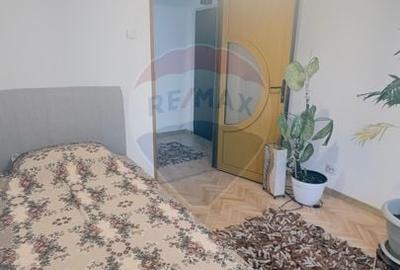 Apartament cu 2 camere semidecomandat, mobilat în Brazda lui Novac - 9