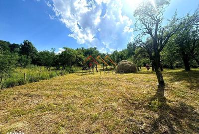 Spațiu comercial, în Răgman - 2