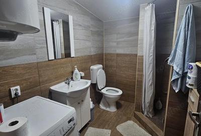 Casă cu Teren 1667 Mp în Alioș - 9