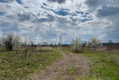 Teren de 7800 mp, în Central