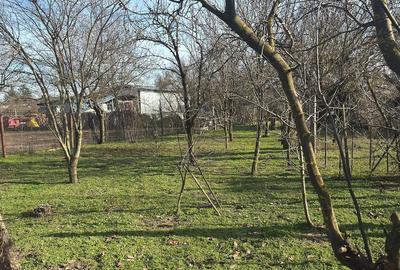 Casă cu Teren 1060 Mp în Moșteni - 1