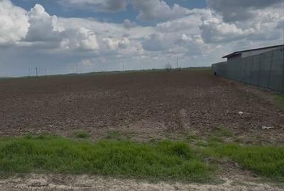 Spațiu comercial, în Belciugatele - 1